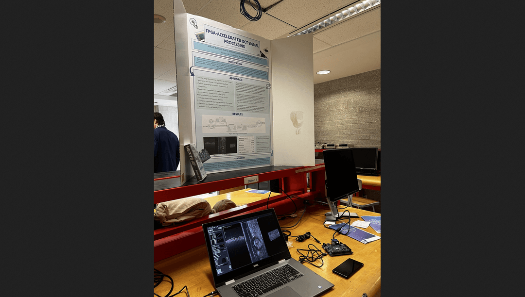 OCT Signal Processing